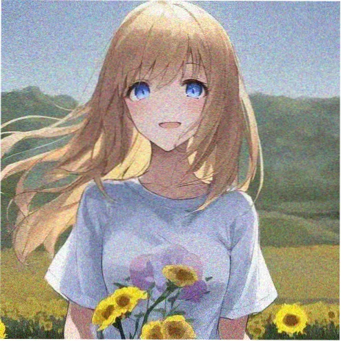用户 玻璃海の旅人 的头像